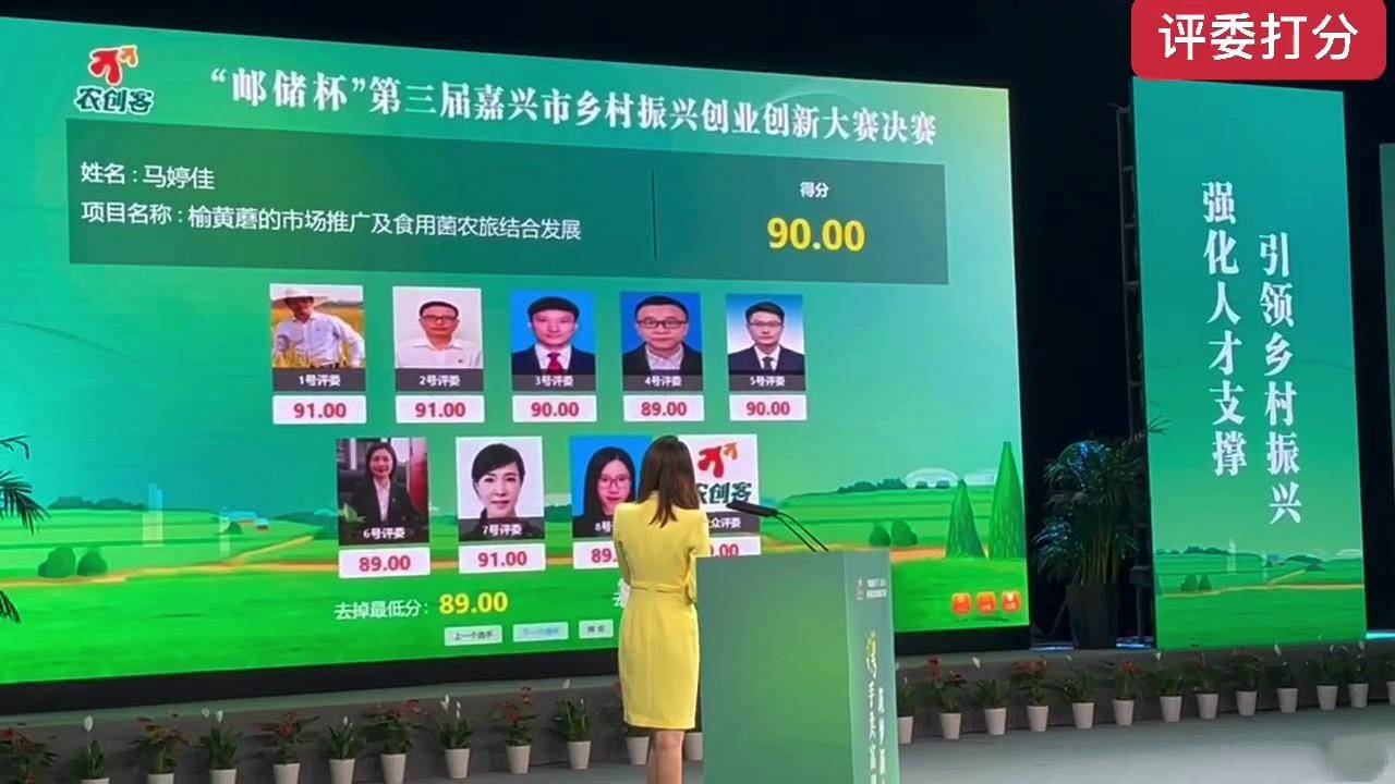 比赛打分软件，评委评分、自动计算、大屏实时显示，独立部署